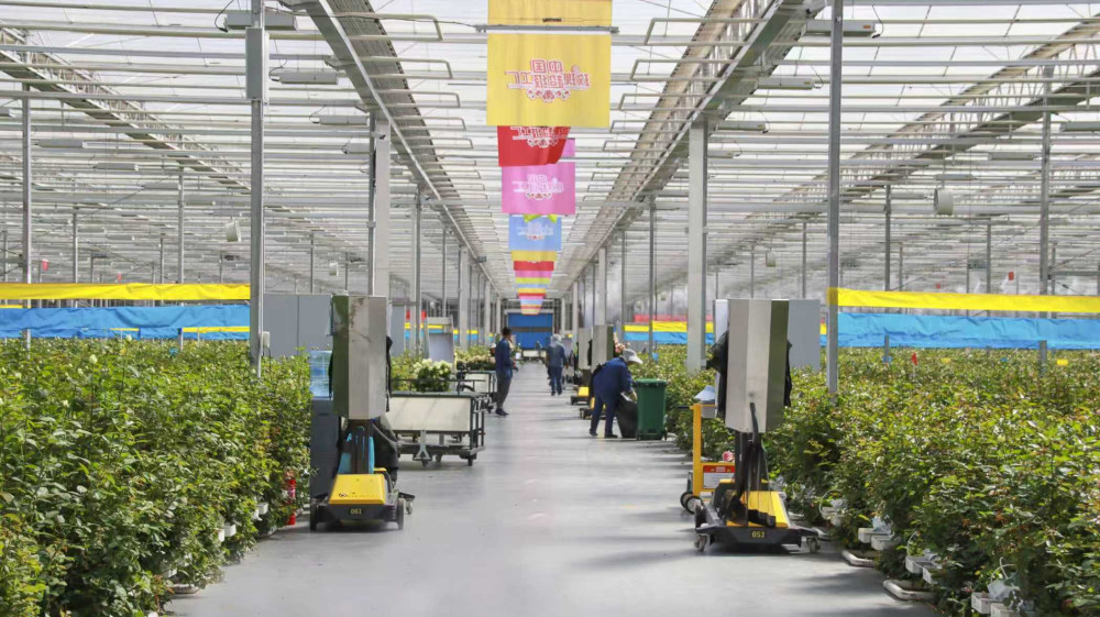 fe2309c110a69ff692322ecba4d210cd.jpg fe2309c110a69ff692322ecba4d210cd.jpg