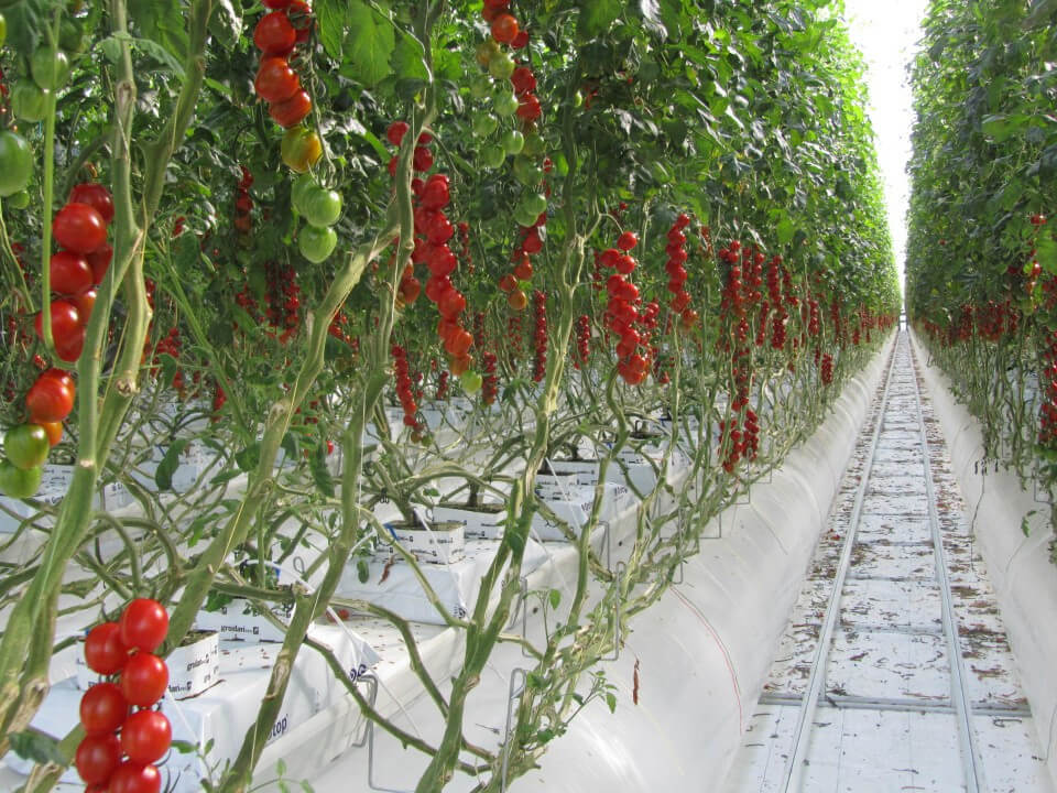 1646901186004.png 1646901186004.png