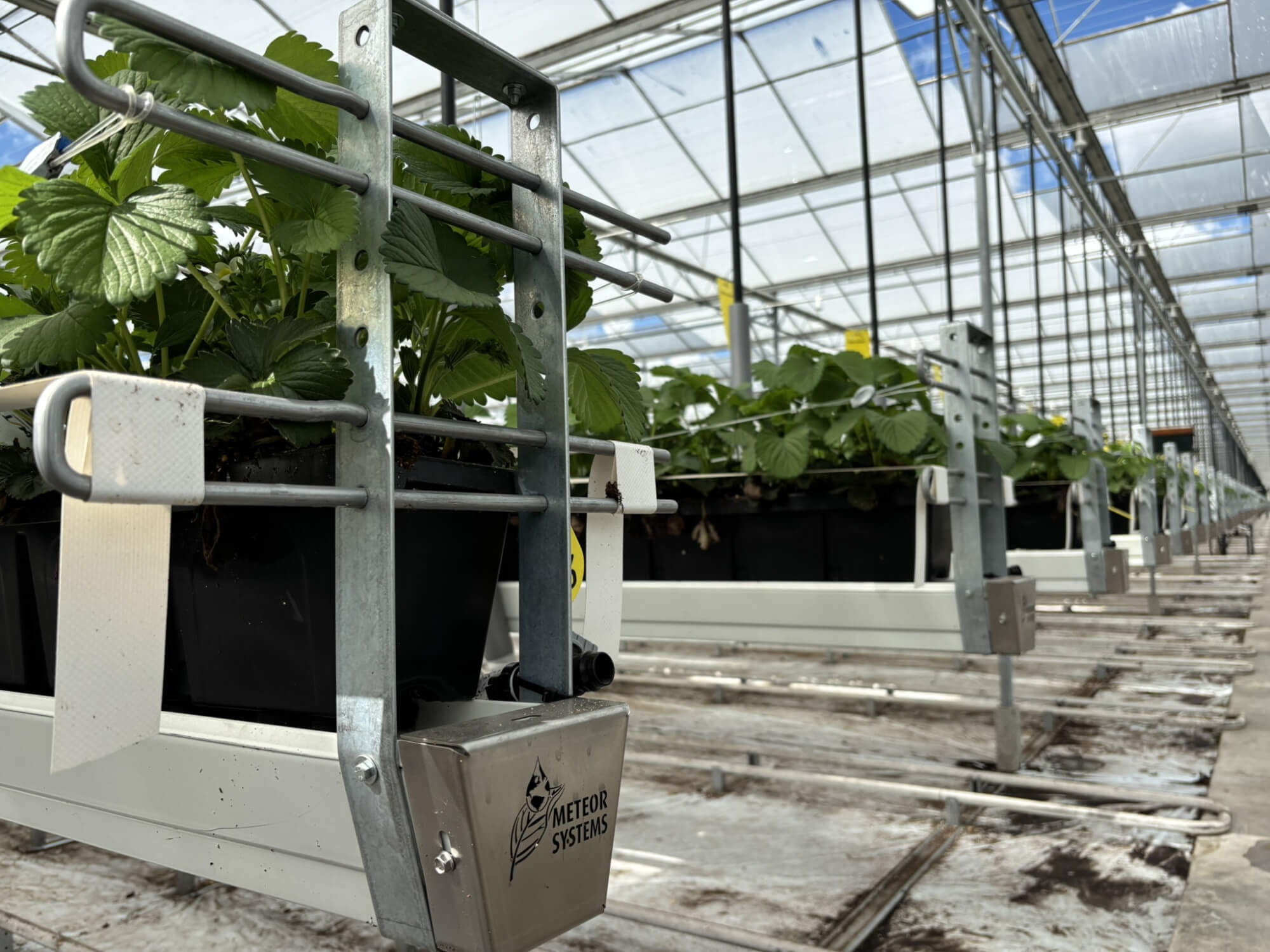 img_0039.jpeg img_0039.jpeg