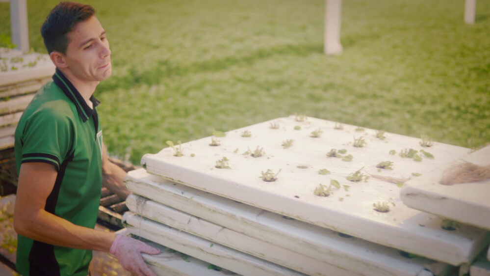 maxresdefault maxresdefault