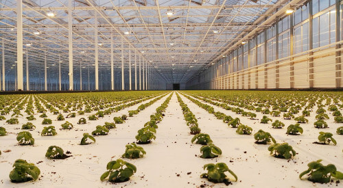 kas-vol.jpg kas-vol.jpg