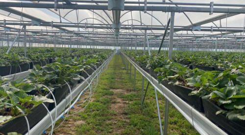 mini-air9.jpg mini-air9.jpg