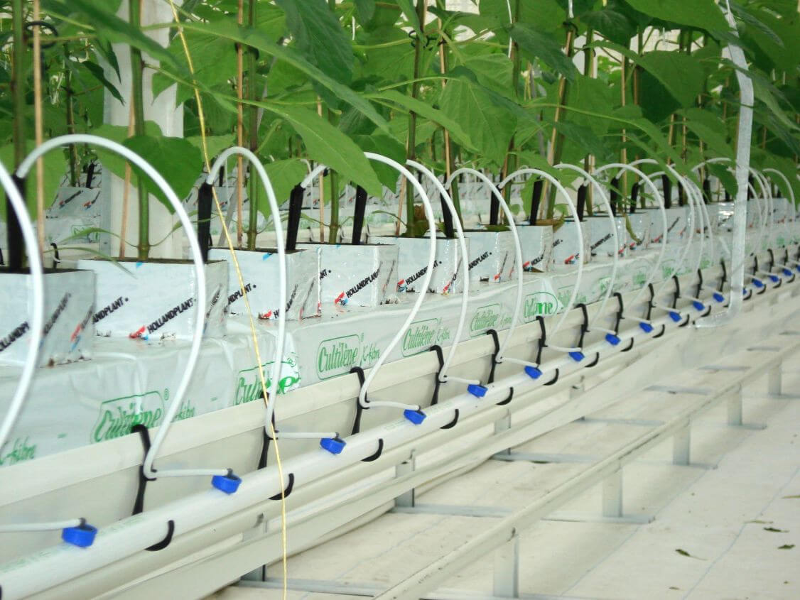 irrigationmeteorsystems.jpg irrigationmeteorsystems.jpg