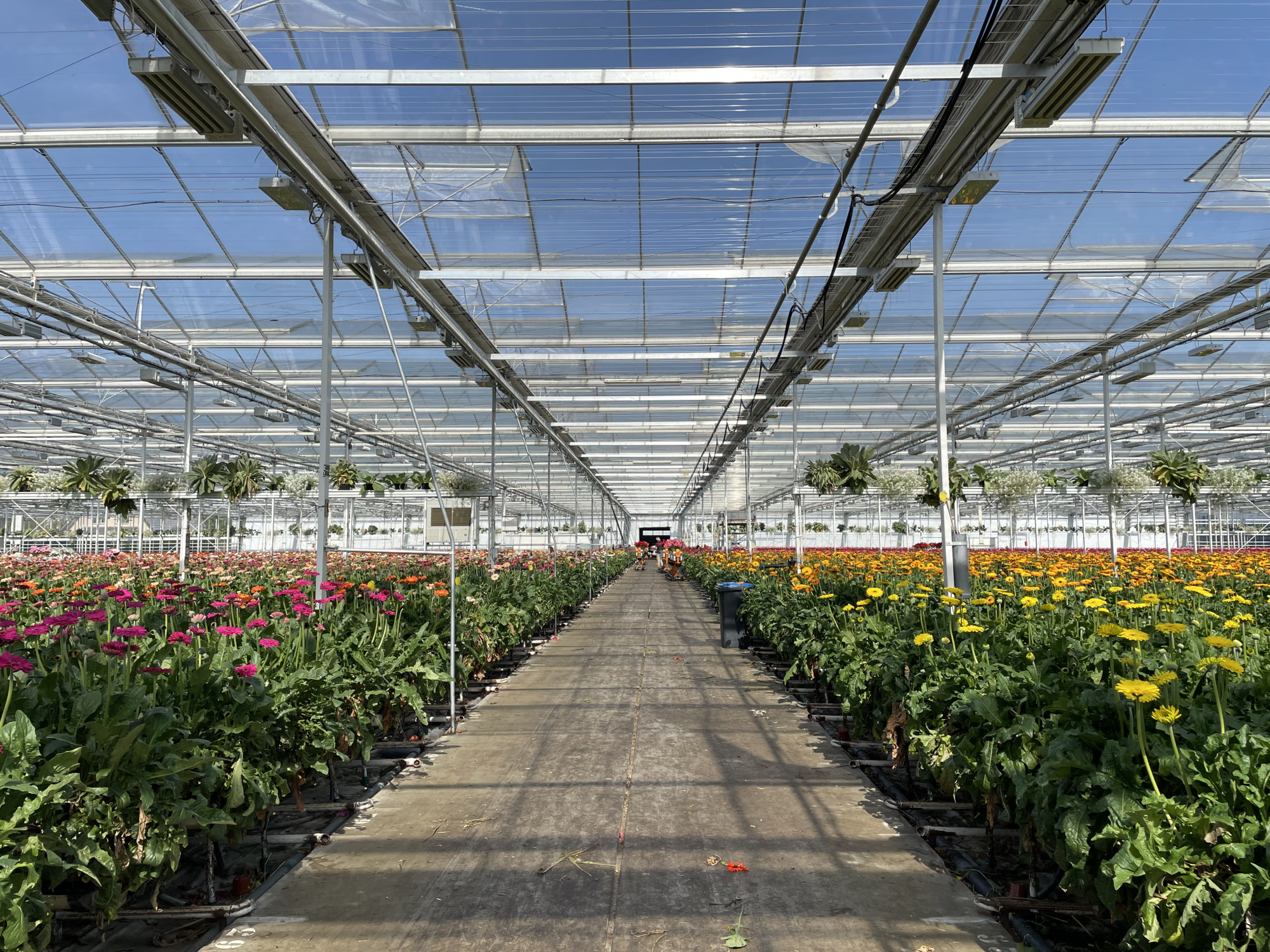 IMG_0495.jpg IMG_0495.jpg