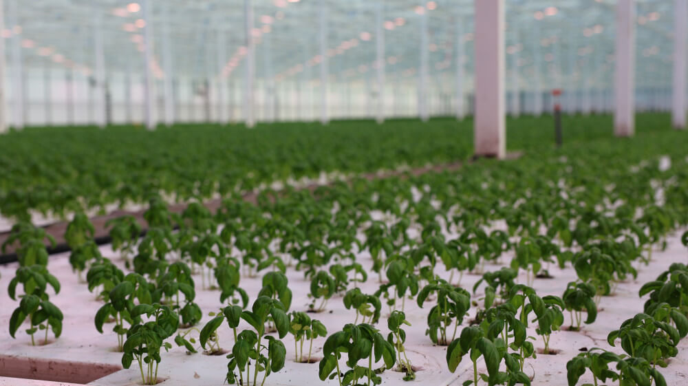 ls5a0206.jpg ls5a0206.jpg