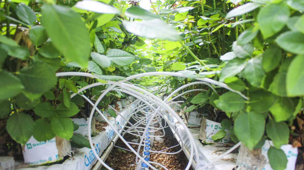 1f2282a9e6ee232ef90bfd63d41477b7.jpg 1f2282a9e6ee232ef90bfd63d41477b7.jpg