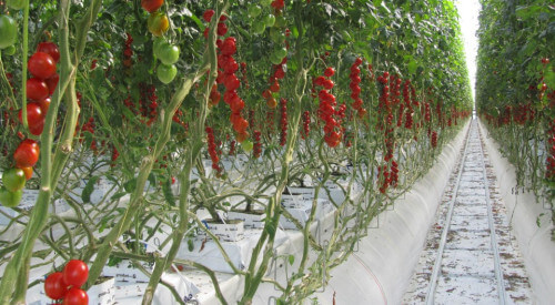 1646901186004.png 1646901186004.png