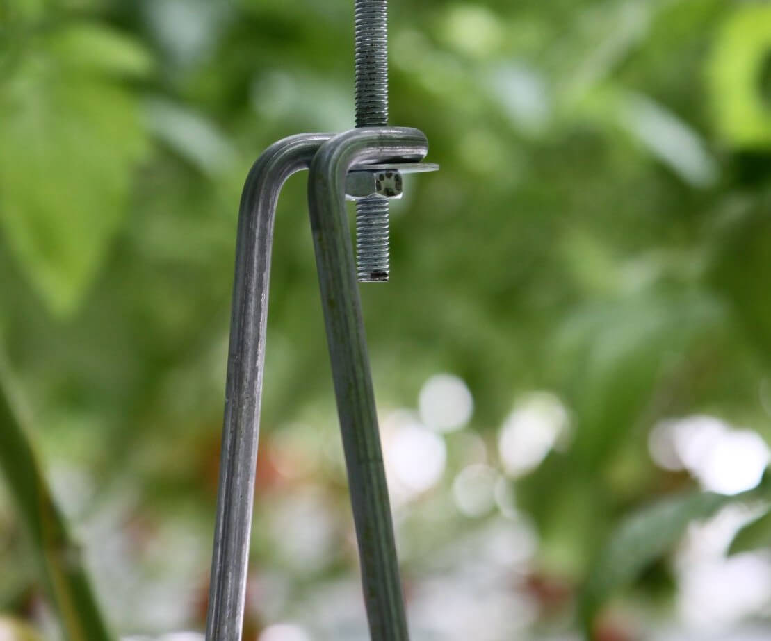 img_5240.jpg img_5240.jpg