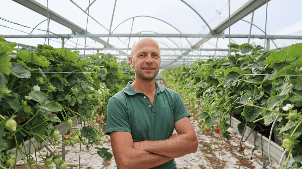 steven depestel