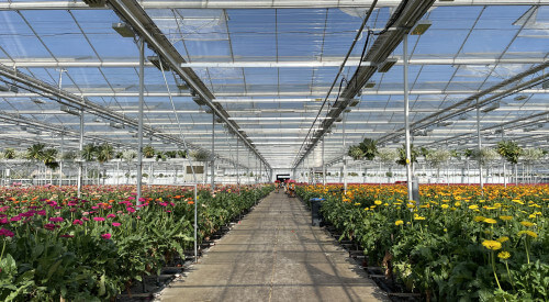 IMG_0495.jpg IMG_0495.jpg