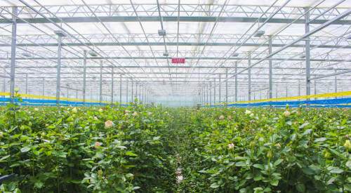 f832f9b6b58fe7478d9243e02050e4c4.jpg f832f9b6b58fe7478d9243e02050e4c4.jpg