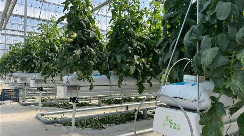 productfotoingezoomdmetlogo.jpg productfotoingezoomdmetlogo.jpg