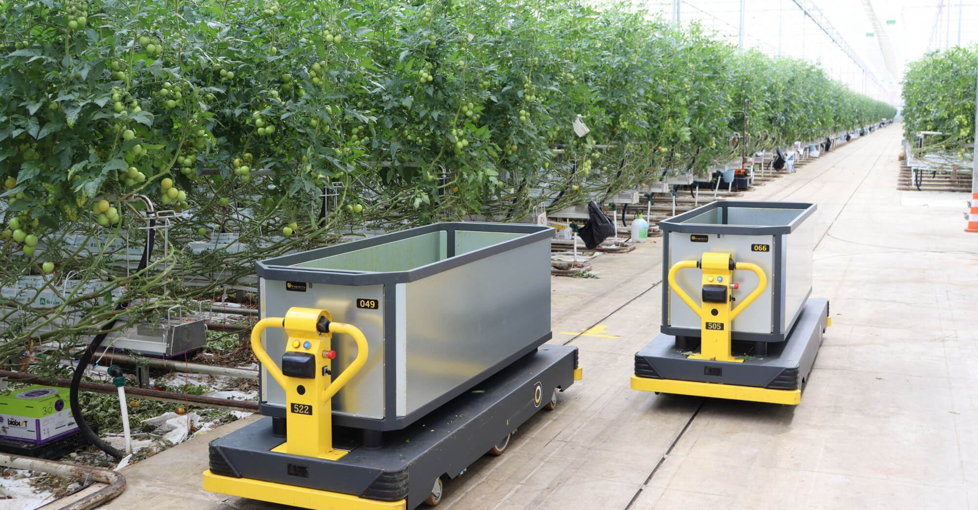 the flavour farm