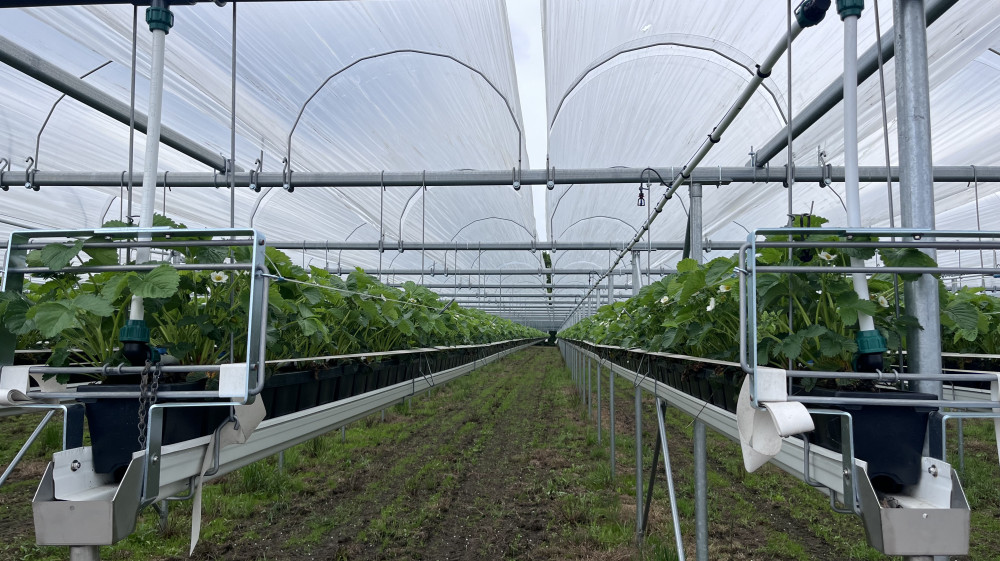 image00005.jpeg image00005.jpeg