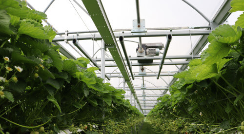 IMG_0021.JPG IMG_0021.JPG