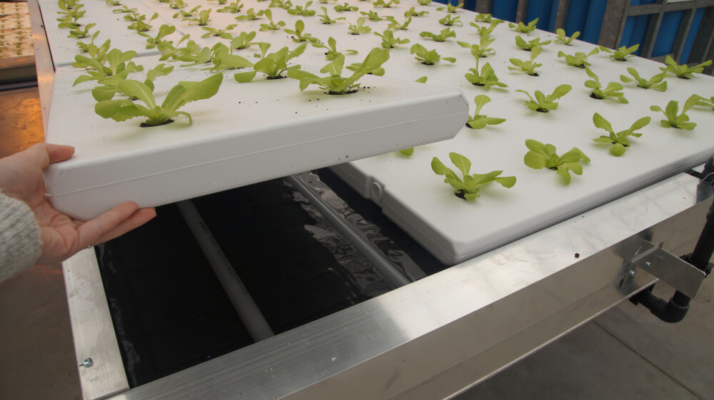 dsc05006.jpg dsc05006.jpg