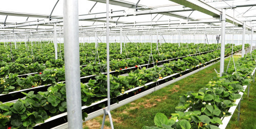 mini-airpro.jpg mini-airpro.jpg