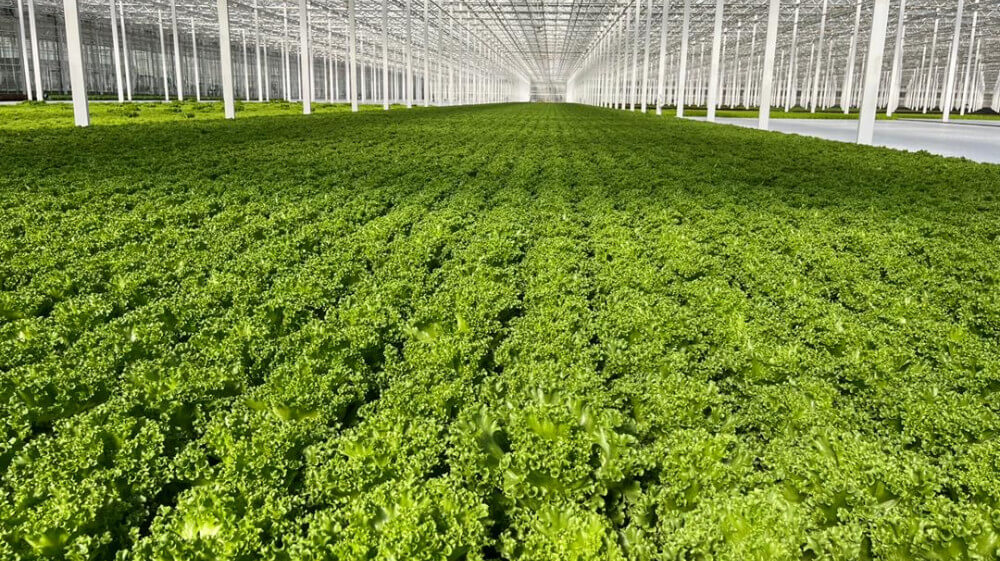 ed004452-6943-4015-aa02-46799a944346.jpg ed004452-6943-4015-aa02-46799a944346.jpg