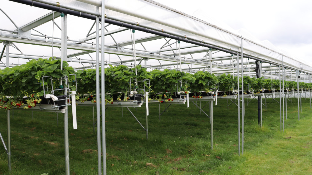 IMG_0009.JPG IMG_0009.JPG