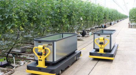 the flavour farm