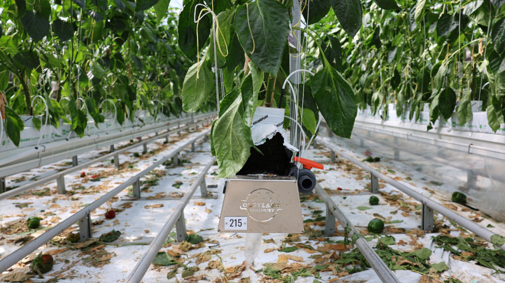 LS5A3360.JPG LS5A3360.JPG