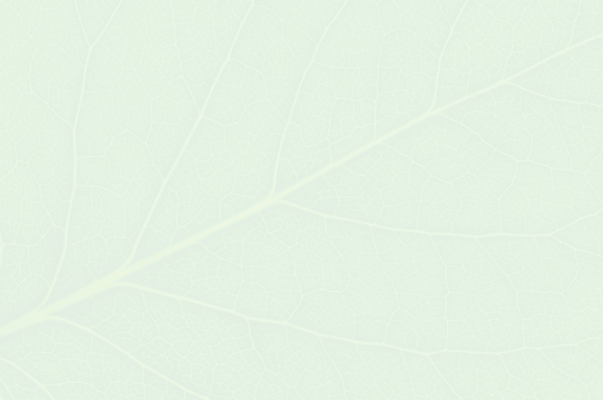 background background