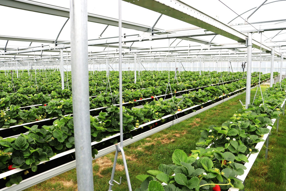 mini-airpro.jpg mini-airpro.jpg